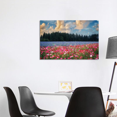 Flower Field Sunrise I by Dennis Frates - Print on Canvas