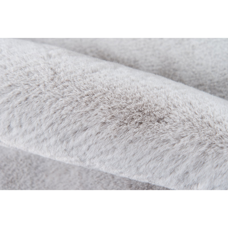 Tapis gris area Ryker, Rectangle 5 pi x 7 pi