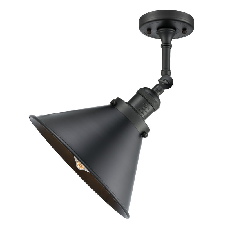 Paylor Semi Flush Mount, No Bulb Included, Matte Black