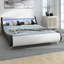 Upholstered Storage Bed-1060887794