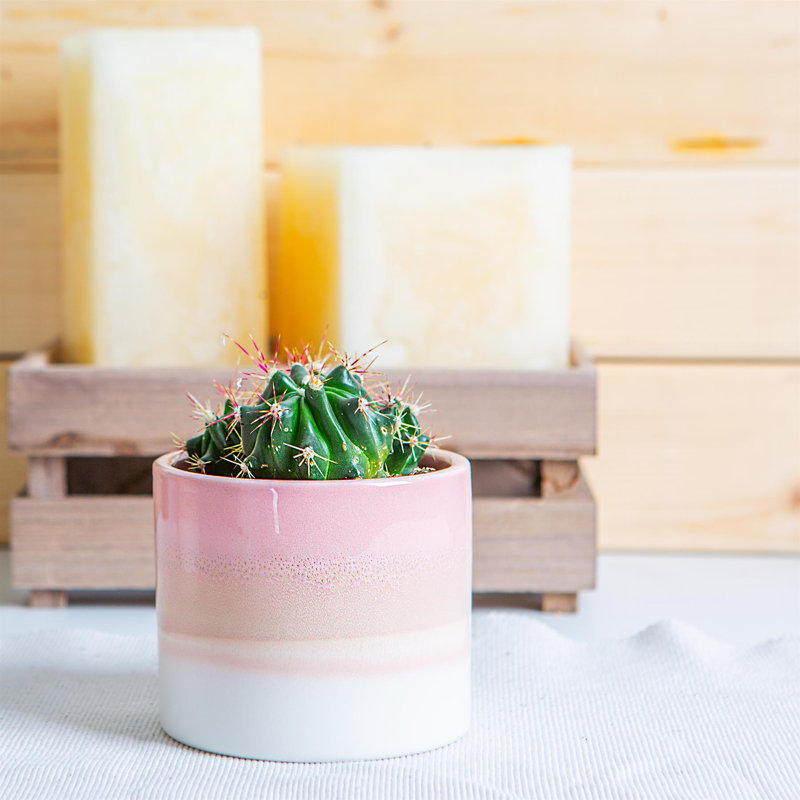 Nicola Spring - Reactive Glaze Plant Pot, 9cm H x 10.5cm W x 10.5cm D, Pink