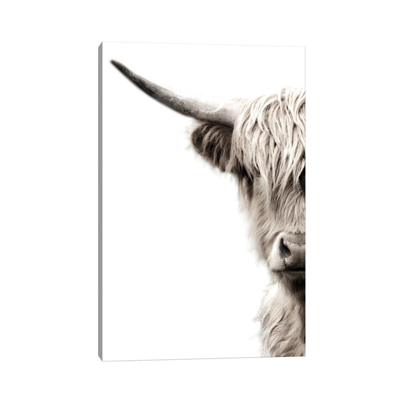 Highland Cattle by Danita Delimont - Print on Canvas, 66.04 cm H x 45.72 cm W x 1.91 cm D, Wrapped Canvas