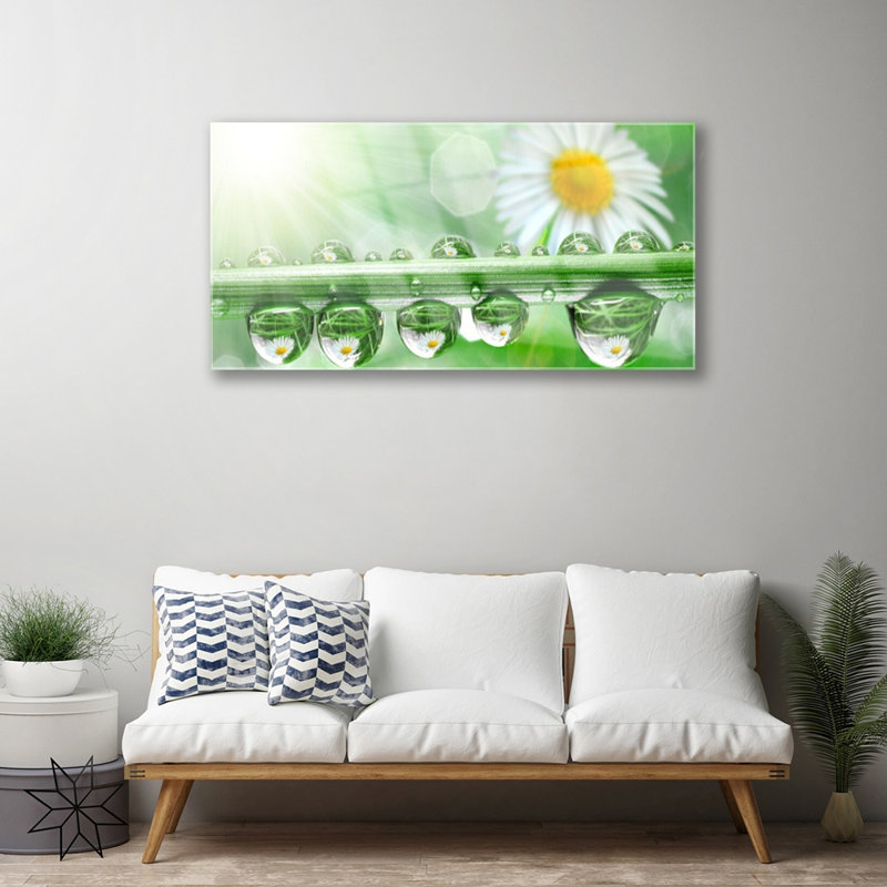 Nature Dew Leaf Daisies - No Frame Print on Glass