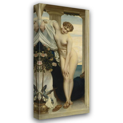 Venus Disrobing for the Bath
