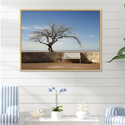 " Mimalism Bench Under A Tree Scenery "