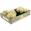 Vibrant Hydrangea Natural Touch, Box Of 6 - 19 Inches-523283672