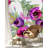 Hintzen Wall Mural-482979295