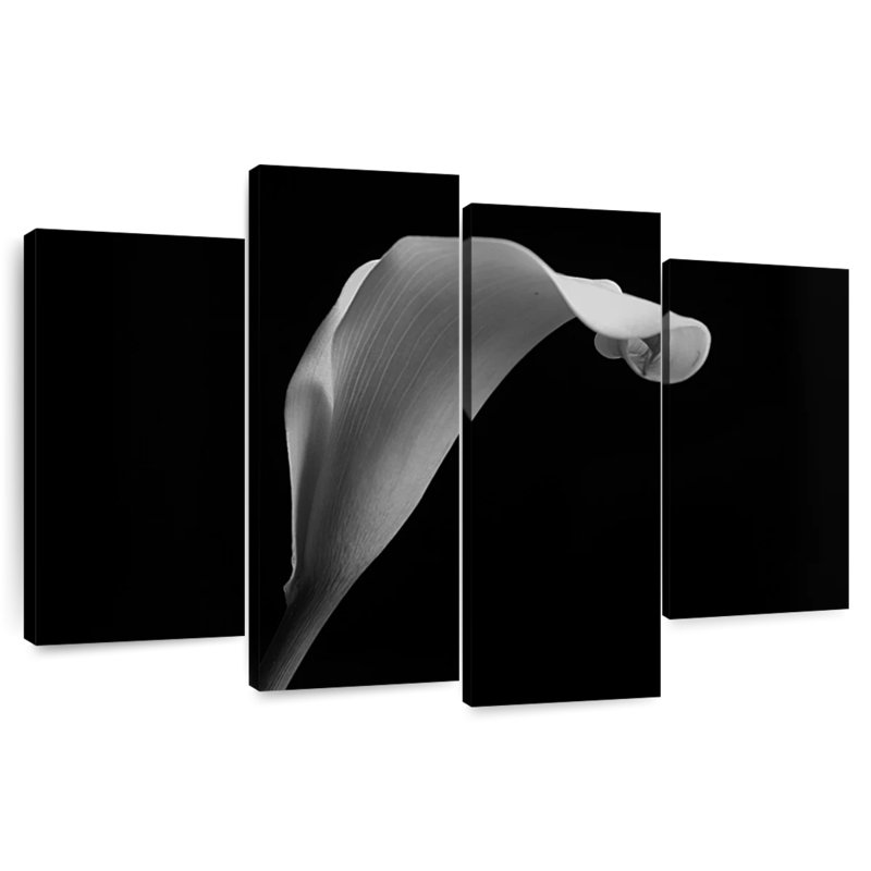 Harnek lys Calla monochrome, H 22 po x l 36 po
