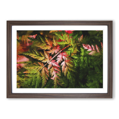 Fern Leaves Vol.2 - Framed Print