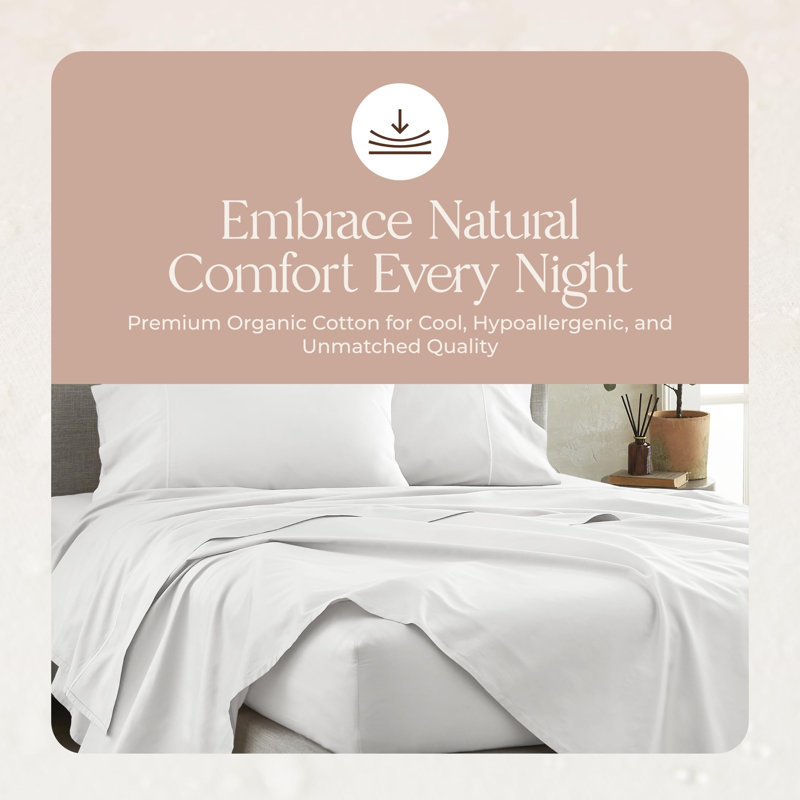 Whisper Organic Certified Organic Sheet Only - 100% Organic Cotton Sheets With Luxurious Soft And Breathable 300 Thread Count Sateen Weave Finish - Gots & Fairtrade Certified (King, White)