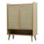 Shoe Storage Cabinet