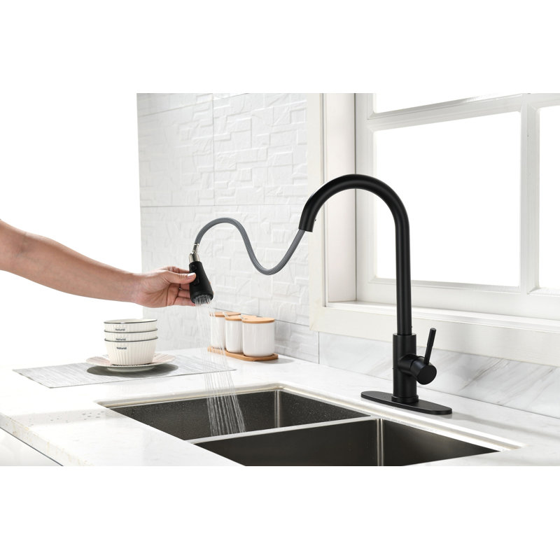 Kitchen Faucet With Pull Out Spraye