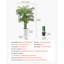 Palmier artificiel artificiel avec plante blanche Areca-1673857831