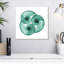 Aletra Neon Nautilus Trio-109377210