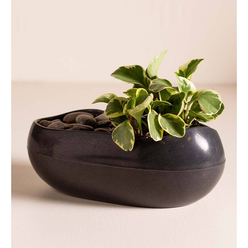 Pot à fleur en pierre Burmont, Noir