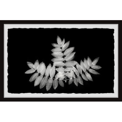 Contrasting Leaves - Single Picture Frame Painting