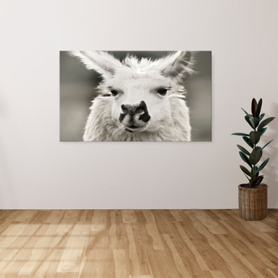 "Let's Chat" par Danita Delimont, reproduction sur toile