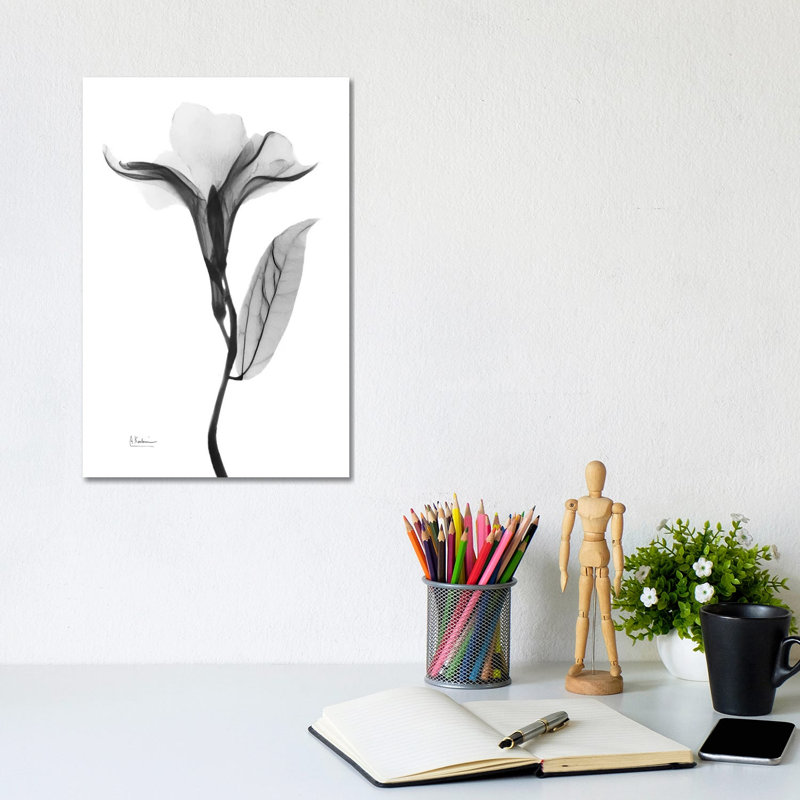 Pleasant Oleander I by Albert Koetsier - Wrapped Canvas Print, 20.32 cm H x 30.48 cm W