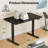 Putnam Height Adjustable Standing Desks-194064648-194064658