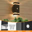Matte Black Outdoor Sconce