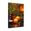 Baignoire et lessive, pierres, feuilles de bambou, bol de sel, fumée-423639971