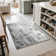 Fillender Modern Area Rugs Non-Slip Washable Abstract Soft For Living Room