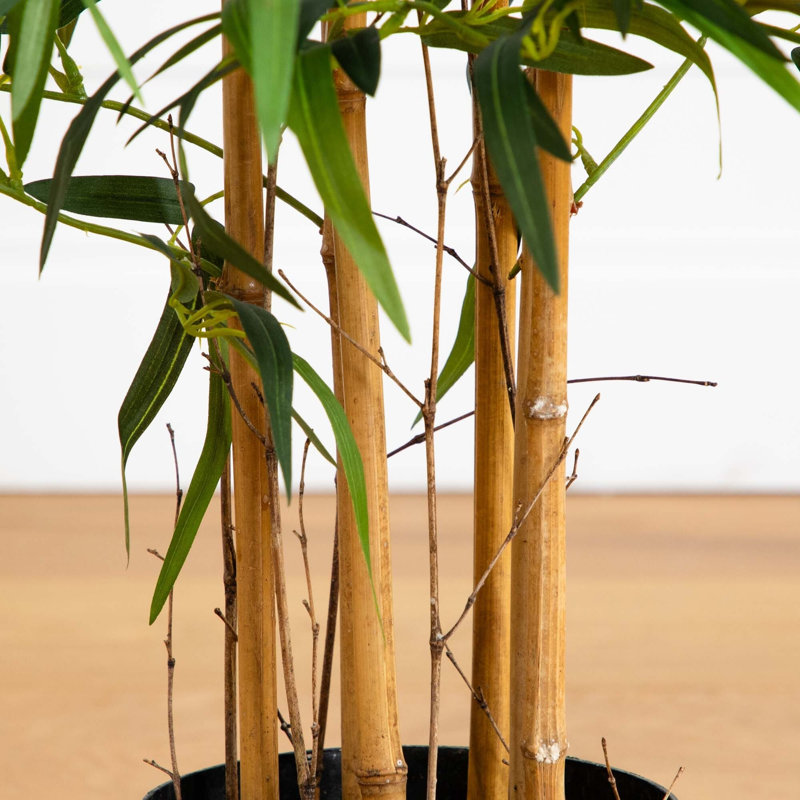 Twiggy Bamboo Silk Tree