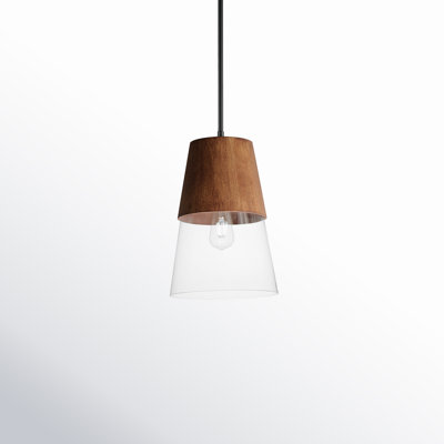 Remora Single Light Steel Dimmable Pendant