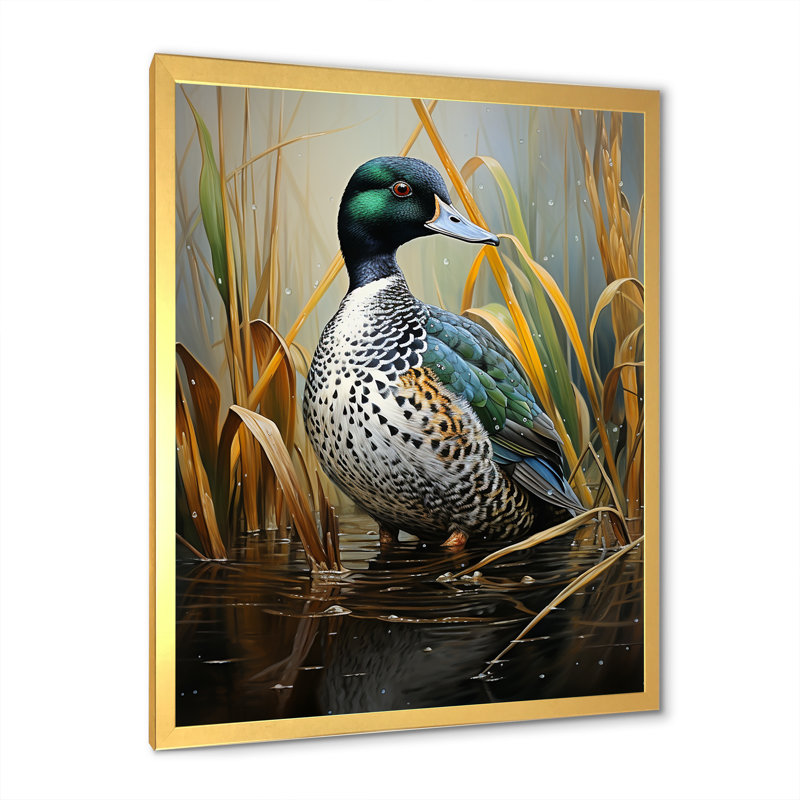 Canard Drake à l'étang I, Cadre doré simple, H 40 po x l 30 po x P 1,5 po