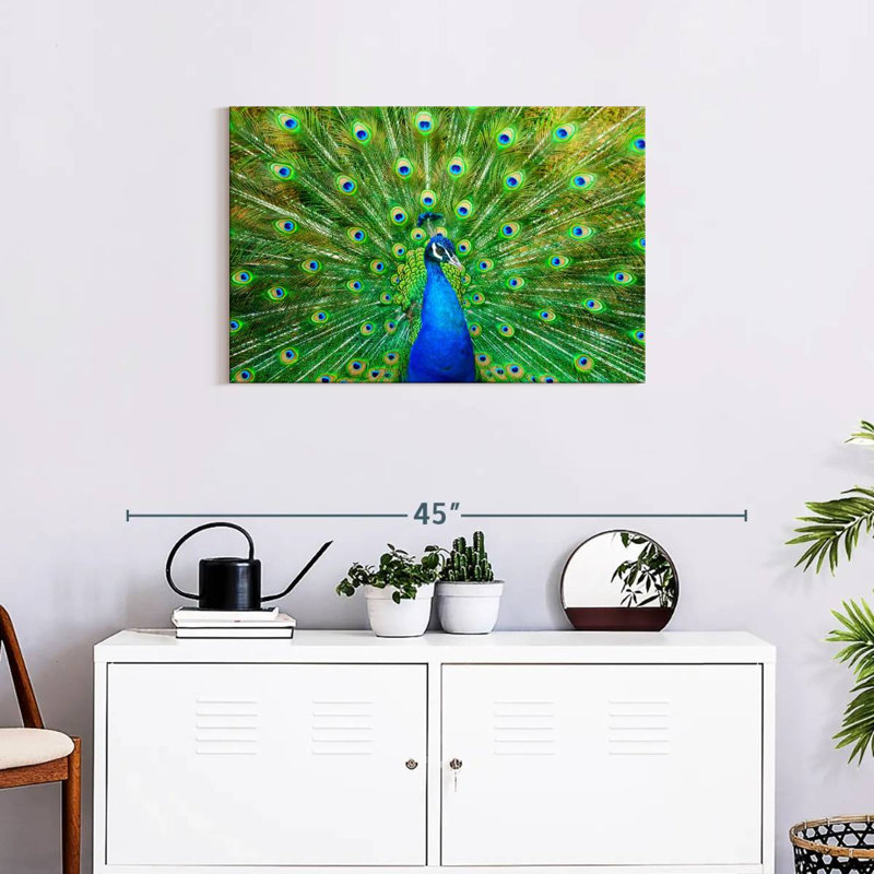 Crowle Flamboyant Peacock, 20" H x 30" W