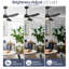 Ventilateur de plafond à hélice à 3 pales 52 po avec télécommande et ensemble d'éclairage inclus Tibuh-1527119966