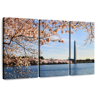 Lilie Cherry Trees In Washington