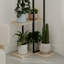 Plant Stand - Set of 6-597922288