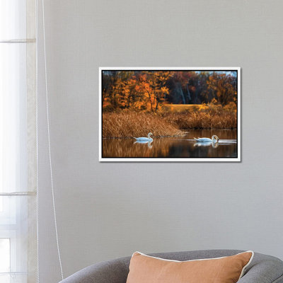 Fall Duet by David Gardiner - Rectangle Print on Canvas