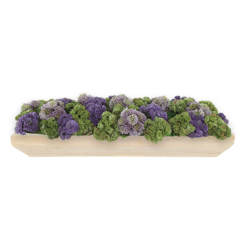 Sedum Arrangement in a Rectangular Wood Planter, White