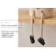 Plante grasse 3,93 po