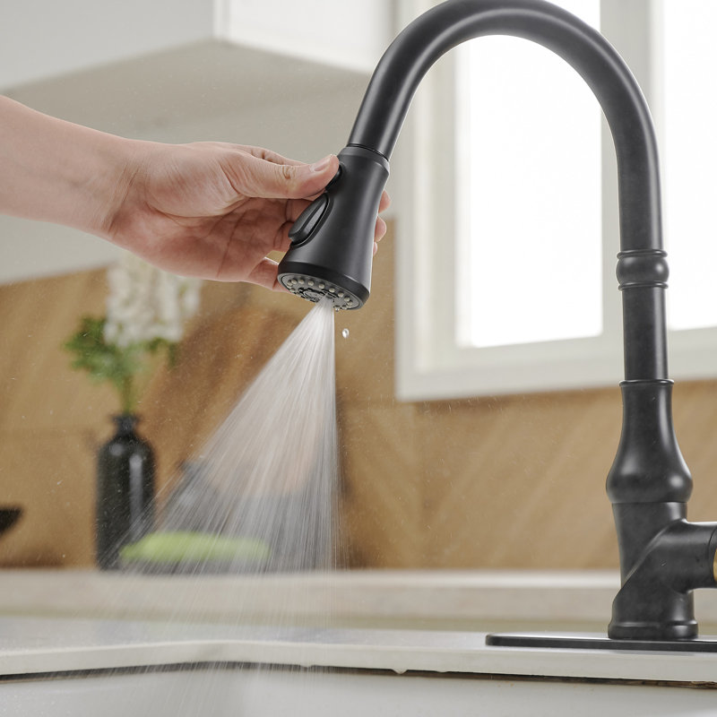VIBRANTBATH Kitchen Faucet, Matte Black/Gold, 1.2 GPM