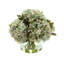 Hydrangea Bouquet In Bubble Glass Vase-938174868