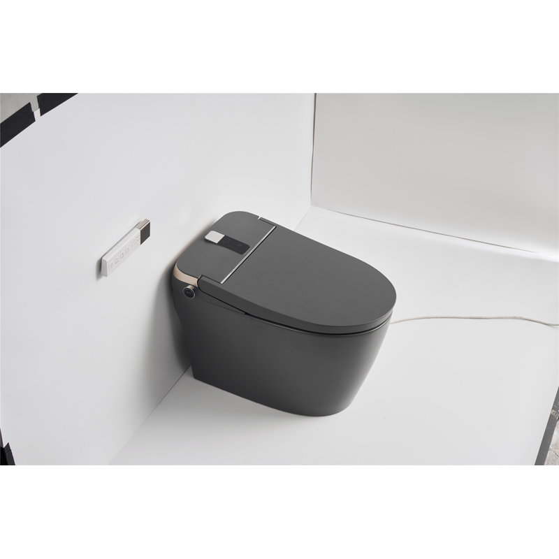 Toilette allongée à bidet au sol avec télécommande et siège de création Creatfry Smart GPF
