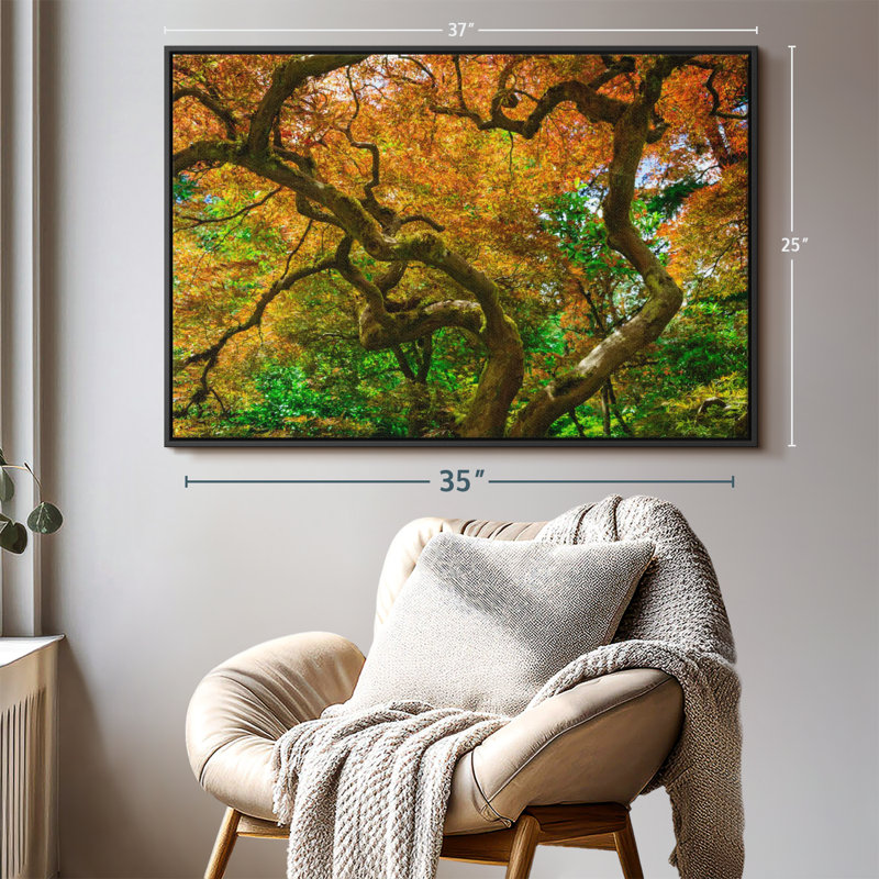 Mossy Maple Tree Canvas Print, 25" H x 37" W