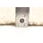 Sienna Beige Rug 5'1" x 8'4"