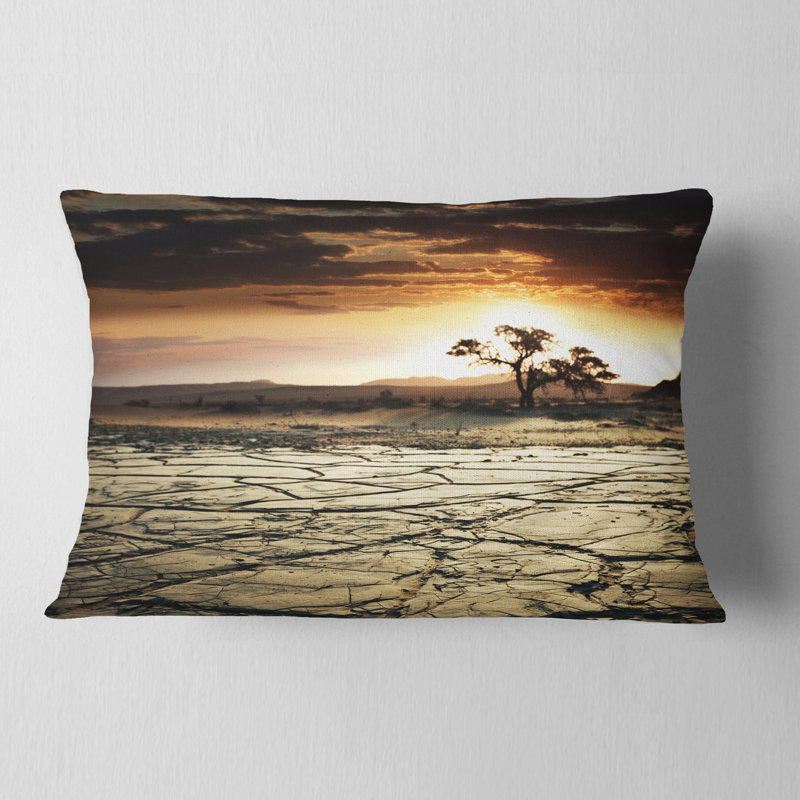 Coussin lombaire en gopi de la sécheresse à l’intérieur du désert