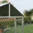 Large Dog Kennel Outside