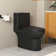 Ally Dual-Flush Elongated One-Piece Toilet with Glazed Surface Modern Toilet with Comfort Seat Height  (Seat Included)
