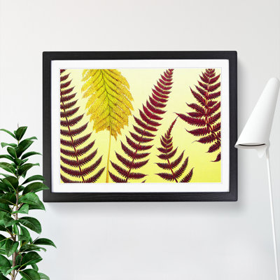 Fern Leaves - Single Picture Frame Print