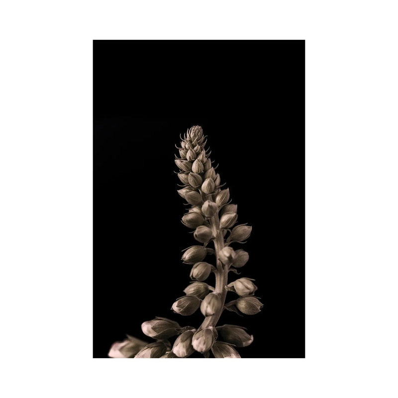 Upwards II by Design Fabrikken - Wrapped Canvas Print, 20.32 cm H x 30.48 cm W