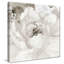 «Light Grey Flowers I» par Lanie Loreth, reproduction sur toile-31936780-31475490