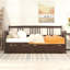 Lit de jour simple en bois avec deux tiroirs-124917455-124917458