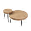 Audric 2 Piece Coffee Table Set-1785652267