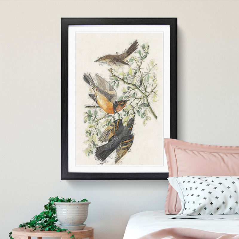 Thrush & Mountain Mocking Birds by John Audubon - Picture Frame Painting Print, Black Framed, 36cm H x 27cm W x 2cm D